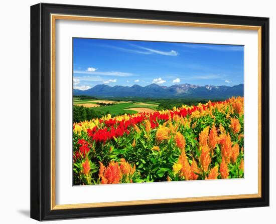 Flower Garden-null-Framed Photographic Print