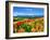 Flower Garden-null-Framed Photographic Print