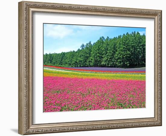 Flower Garden-null-Framed Photographic Print