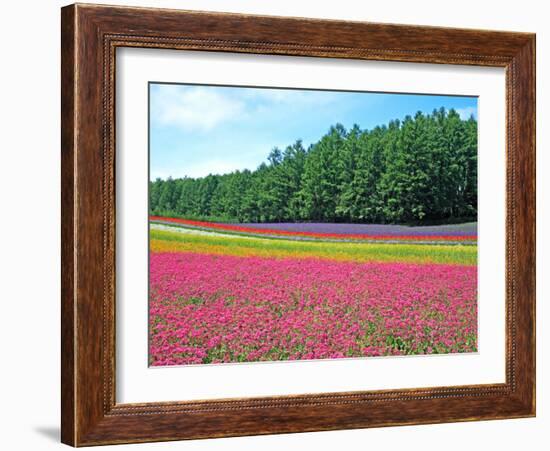 Flower Garden-null-Framed Photographic Print