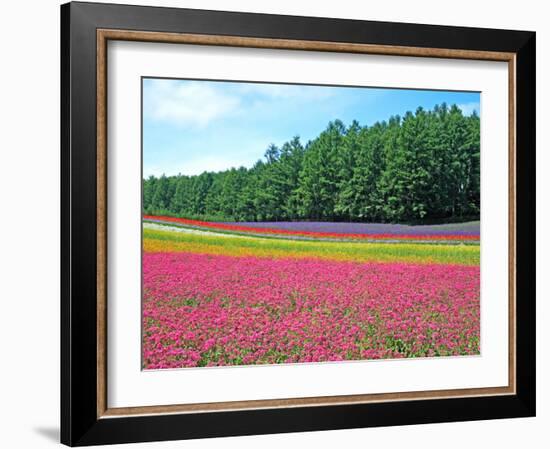 Flower Garden-null-Framed Photographic Print