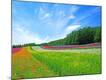 Photographic Print