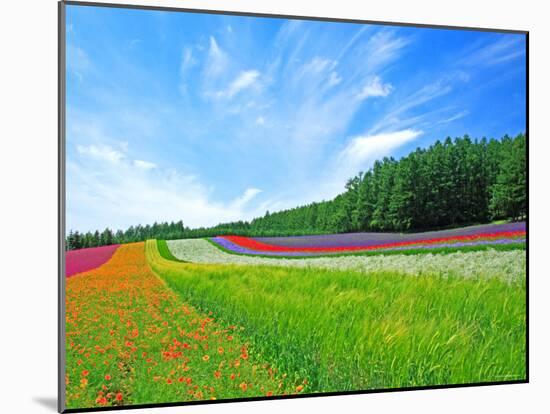 Flower Garden-null-Mounted Photographic Print