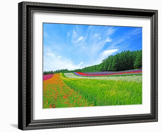 Flower Garden-null-Framed Photographic Print