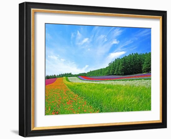 Flower Garden-null-Framed Photographic Print