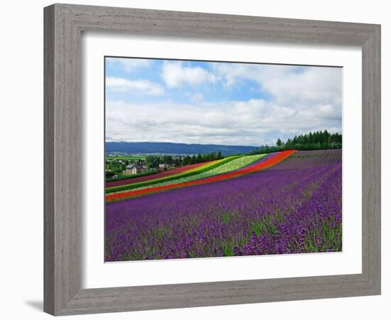 Flower Garden-null-Framed Photographic Print