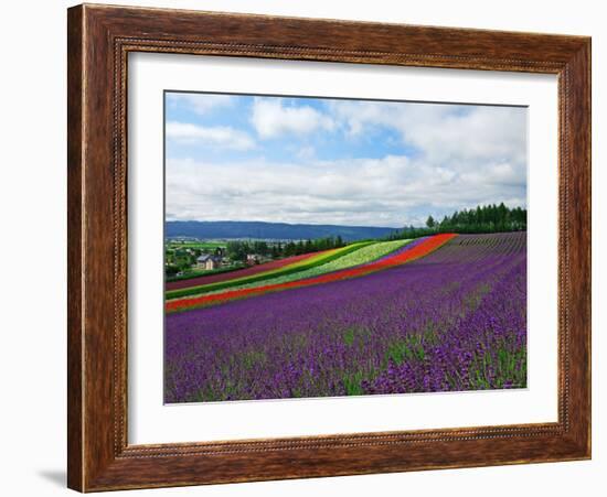 Flower Garden-null-Framed Photographic Print