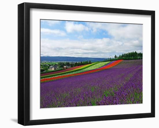 Flower Garden-null-Framed Photographic Print