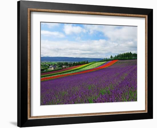 Flower Garden-null-Framed Photographic Print