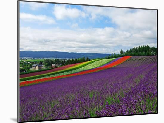 Flower Garden-null-Mounted Photographic Print