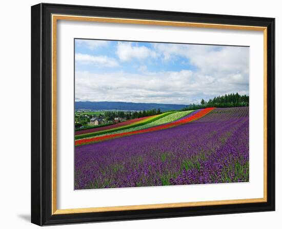 Flower Garden-null-Framed Photographic Print