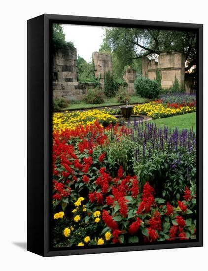 Flower Gardens in Old Town by Rhine River, St Kastor Church, Koblenz, Germany-Bill Bachmann-Framed Premier Image Canvas