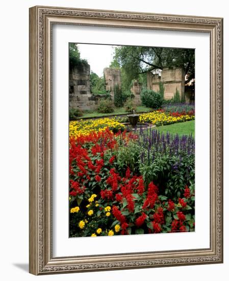 Flower Gardens in Old Town by Rhine River, St Kastor Church, Koblenz, Germany-Bill Bachmann-Framed Photographic Print