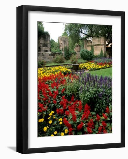 Flower Gardens in Old Town by Rhine River, St Kastor Church, Koblenz, Germany-Bill Bachmann-Framed Photographic Print