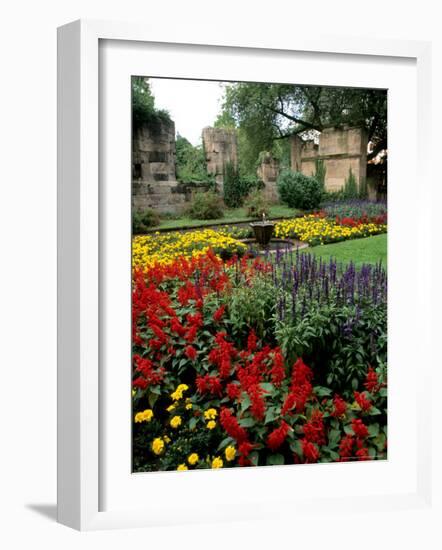 Flower Gardens in Old Town by Rhine River, St Kastor Church, Koblenz, Germany-Bill Bachmann-Framed Photographic Print