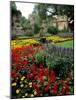 Flower Gardens in Old Town by Rhine River, St Kastor Church, Koblenz, Germany-Bill Bachmann-Mounted Photographic Print