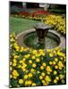 Flower Gardens in Old Town by Rhine River, St Kastor Church, Koblenz, Germany-Bill Bachmann-Mounted Photographic Print