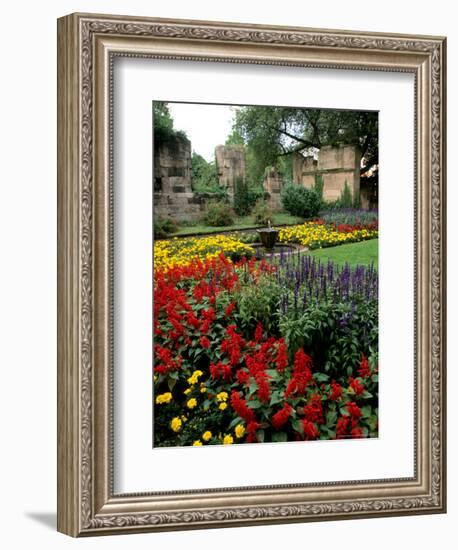 Flower Gardens in Old Town by Rhine River, St Kastor Church, Koblenz, Germany-Bill Bachmann-Framed Photographic Print