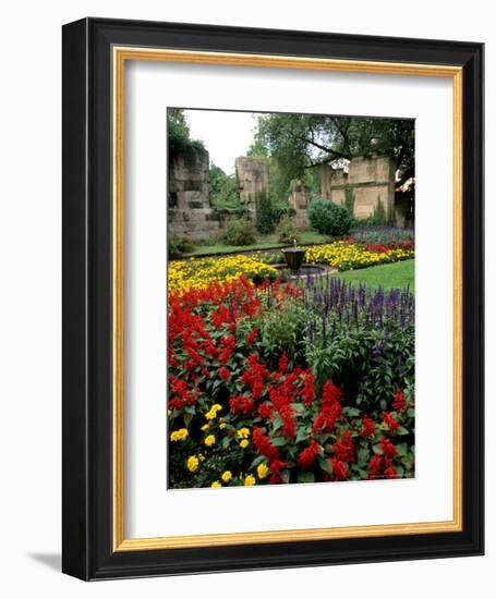 Flower Gardens in Old Town by Rhine River, St Kastor Church, Koblenz, Germany-Bill Bachmann-Framed Photographic Print