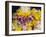 Flower Garlands on a Stall for Temple Offerings, Little India, Singapore, South East Asia-Amanda Hall-Framed Photographic Print