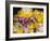 Flower Garlands on a Stall for Temple Offerings, Little India, Singapore, South East Asia-Amanda Hall-Framed Photographic Print