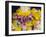 Flower Garlands on a Stall for Temple Offerings, Little India, Singapore, South East Asia-Amanda Hall-Framed Photographic Print