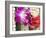 Flower Garlands on a Stall for Temple Offerings, Little India, Singapore, South East Asia-Amanda Hall-Framed Photographic Print