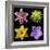 Flower Group 1-Jim Christensen-Framed Photographic Print