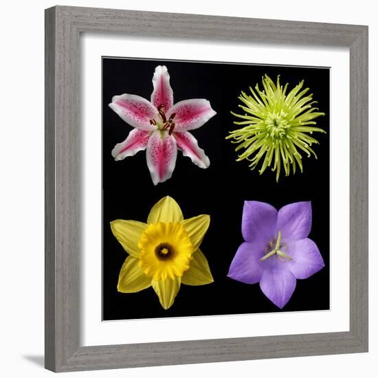 Flower Group 1-Jim Christensen-Framed Photographic Print
