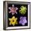 Flower Group 1-Jim Christensen-Framed Photographic Print