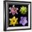 Flower Group 1-Jim Christensen-Framed Photographic Print