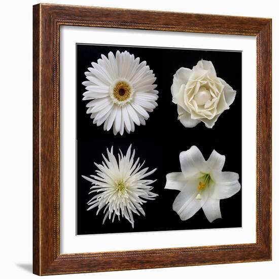 Flower Group 2-Jim Christensen-Framed Photographic Print