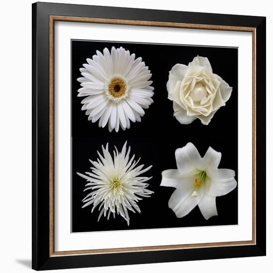 Flower Group 2-Jim Christensen-Framed Photographic Print