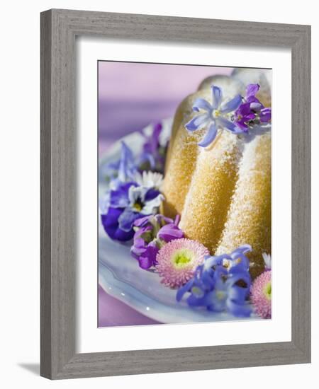 Flower Gugelhupf, Close-Up-C. Nidhoff-Lang-Framed Photographic Print