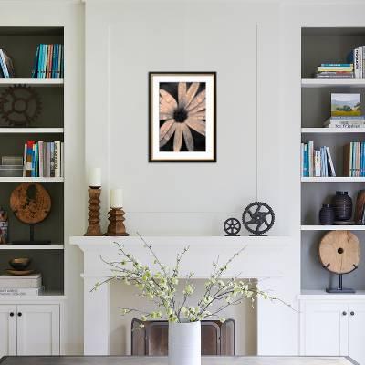 Flower Head Covered With Water Droplets Photographic Print By