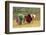 Flower Hmong Ethnic Group Women Working in the Rice Field-Bruno Morandi-Framed Photographic Print