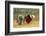 Flower Hmong Ethnic Group Women Working in the Rice Field-Bruno Morandi-Framed Photographic Print