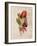 Flower II-null-Framed Art Print