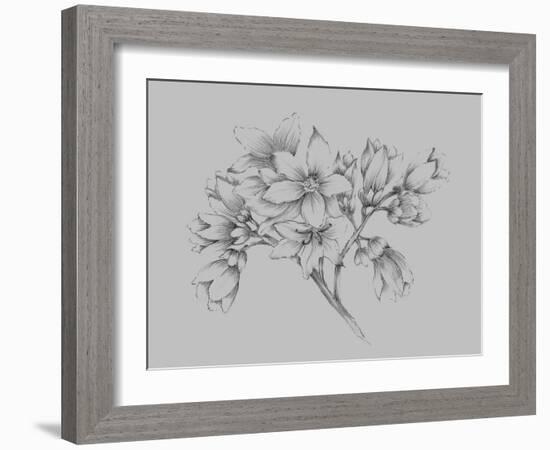 Flower Illustration-Jasmine Woods-Framed Art Print