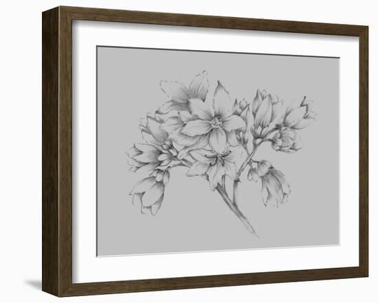 Flower Illustration-Jasmine Woods-Framed Art Print