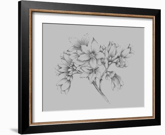 Flower Illustration-Jasmine Woods-Framed Art Print