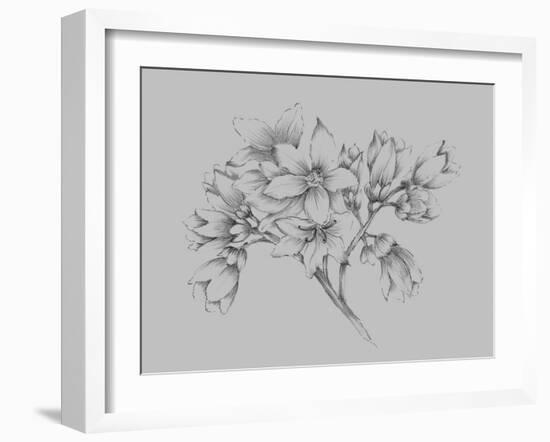 Flower Illustration-Jasmine Woods-Framed Art Print