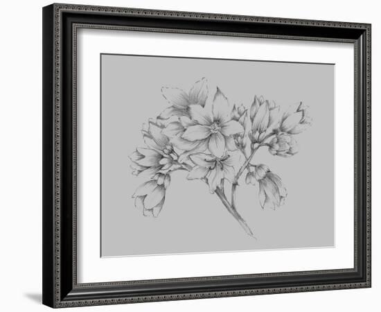 Flower Illustration-Jasmine Woods-Framed Art Print