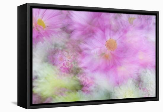 Flower Impressions I-Kathy Mahan-Framed Stretched Canvas