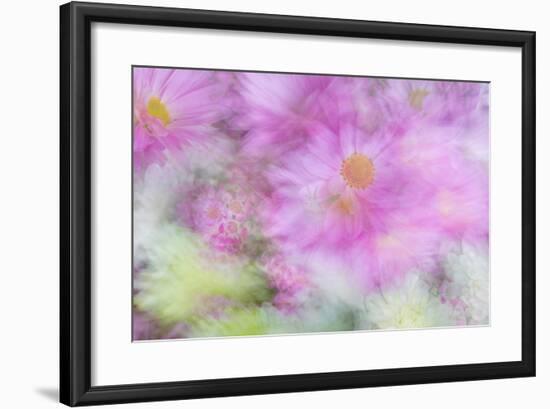 Flower Impressions I-Kathy Mahan-Framed Photo