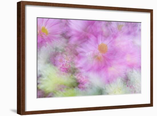 Flower Impressions I-Kathy Mahan-Framed Photo