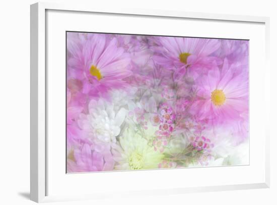 Flower Impressions II-Kathy Mahan-Framed Photo