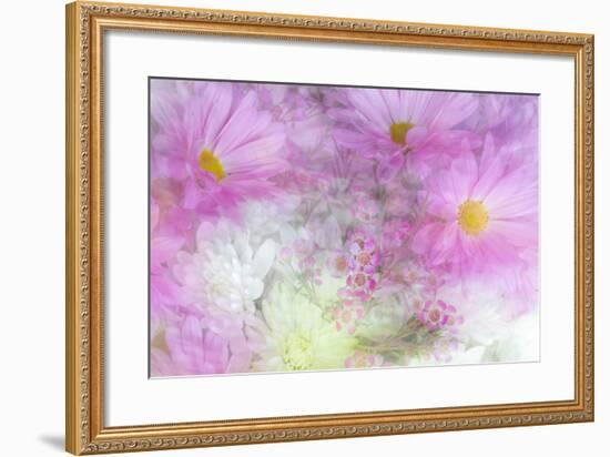 Flower Impressions II-Kathy Mahan-Framed Photo