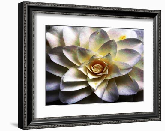 Flower in Full Bloom-Stephen Lebovits-Framed Giclee Print