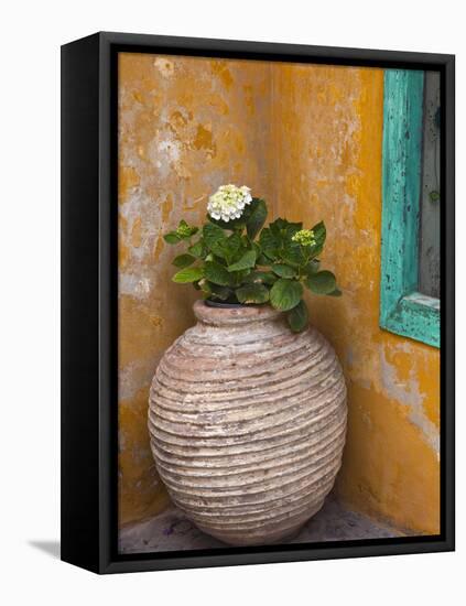 Flower in Pot, Crete, Greece-Adam Jones-Framed Premier Image Canvas